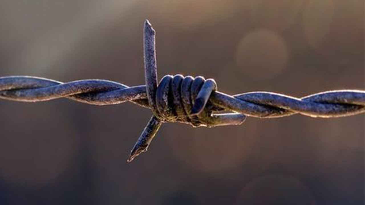 В трудовых лагерях в ОРДЛО насчитывается около 10 тыс. заключенных