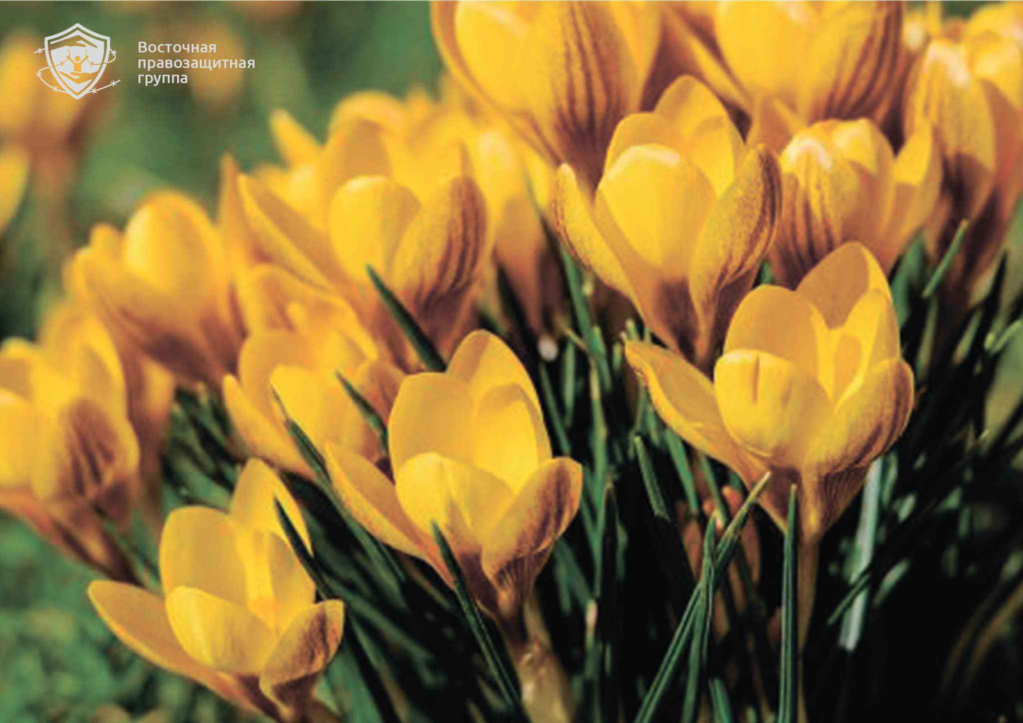 МЫ ВСЕГДА БУДЕМ СТОЯТЬ НА ЗАЩИТЕ ВАШИХ ПРАВ