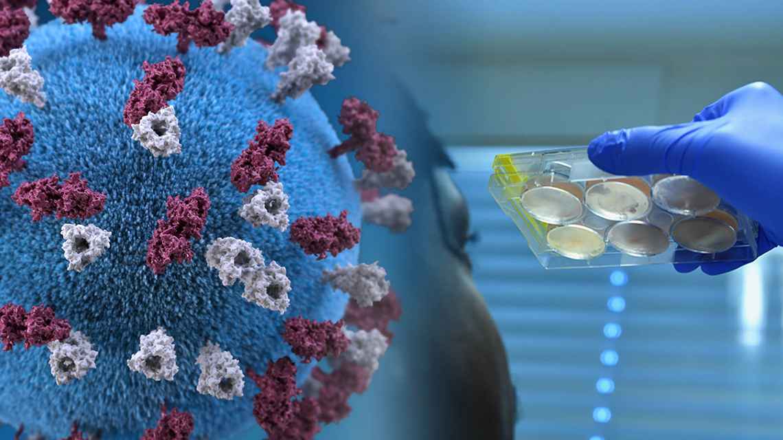КРИТИЧЕСКАЯ СИТУАЦИЯ С COVID-19 В ПСИХОНЕВРОЛОГИЧЕСКИХ ИНТЕРНАТАХ ОРДЛО